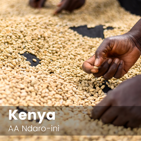 AA Ndaro-ini, Kenya