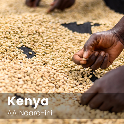 AA Ndaro-ini, Kenya
