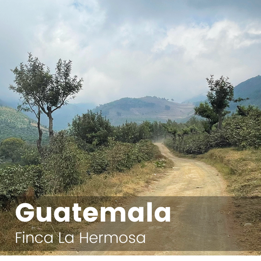 Finca La Hermosa, Guatemala