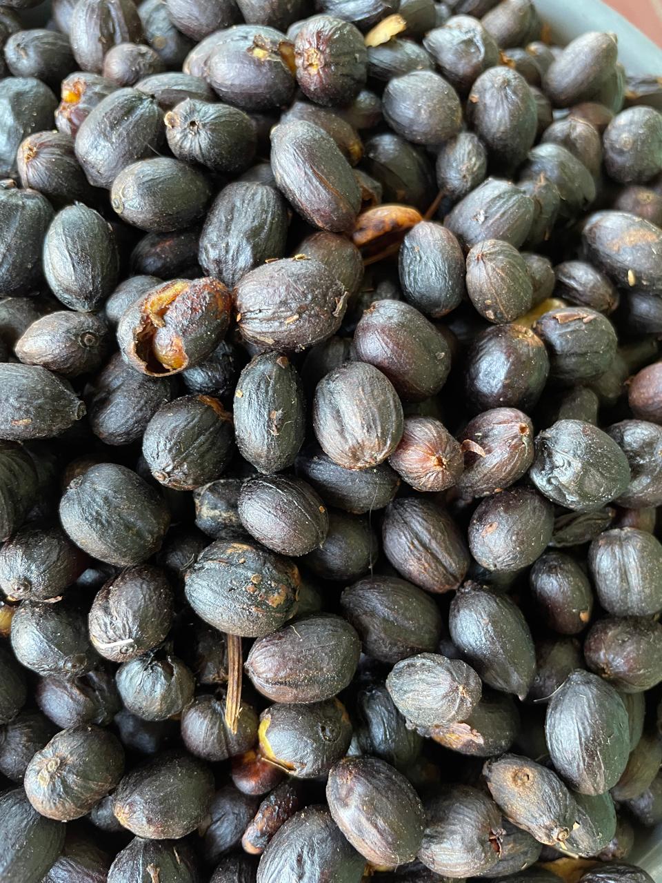 Don Justo - Pacamara Natural