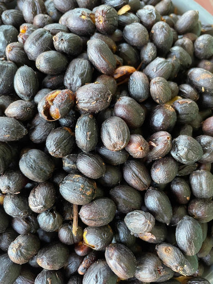 Don Justo - Pacamara Natural