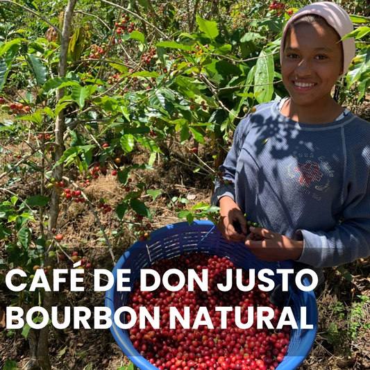 Don Justo - Bourbon Natural