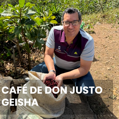 Don Justo - Geisha Natural