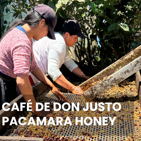 Don Justo - Pacamara Honey